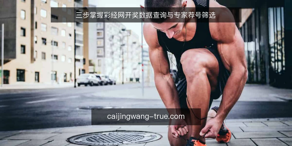 三步掌握彩经网开奖数据查询与专家荐号筛选 — 准备:明确查询需求与所需数据 配图