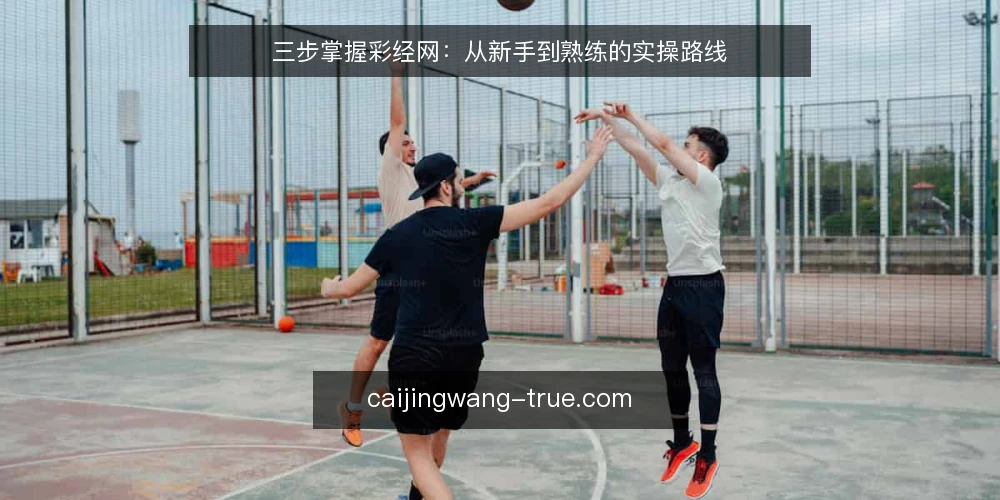 三步掌握彩经网:从新手到熟练的实操路线 — 准备:账号与基础设置 配图