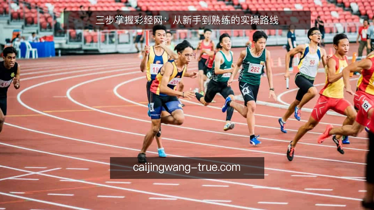 三步掌握彩经网:从新手到熟练的实操路线