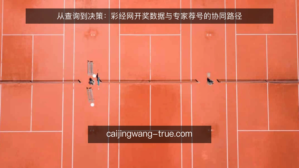 从查询到决策：彩经网开奖数据与专家荐号的协同路径