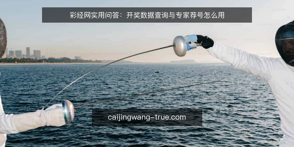 彩经网实用问答：开奖数据查询与专家荐号怎么用 — 彩经网的开奖数据更新有多快？ 配图