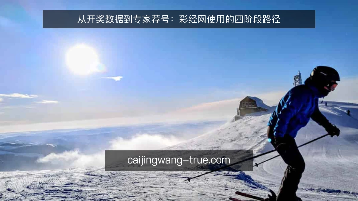 从开奖数据到专家荐号：彩经网使用的四阶段路径
