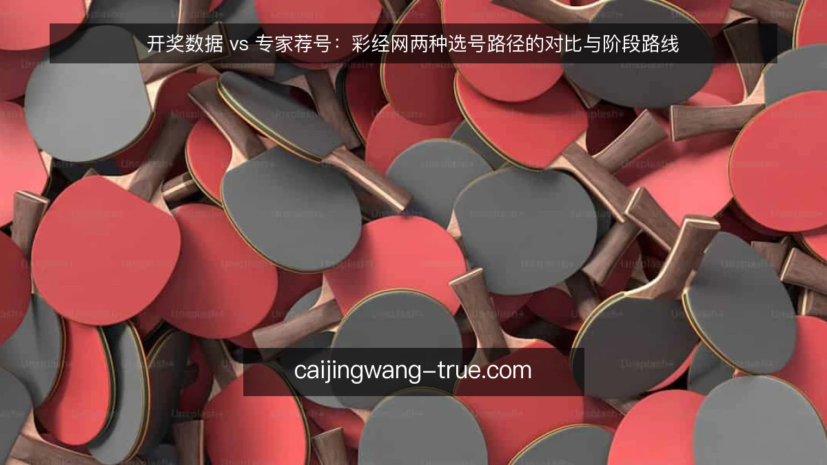 开奖数据 vs 专家荐号：彩经网两种选号路径的对比与阶段路线
