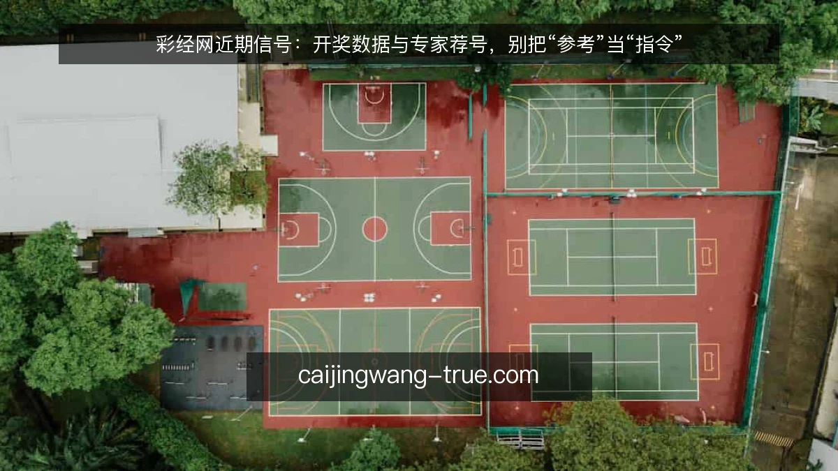 彩经网近期信号：开奖数据与专家荐号，别把“参考”当“指令”