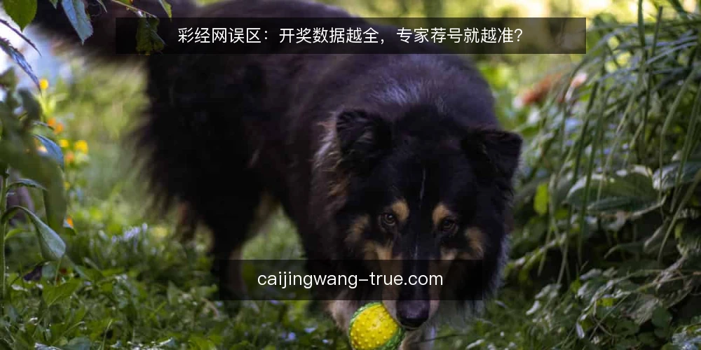 彩经网误区：开奖数据越全，专家荐号就越准？ — 场景设定：一个只盯开奖数据的用户 配图