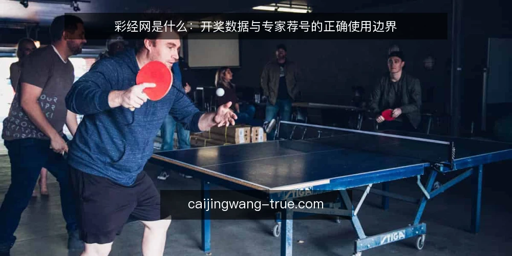 彩经网是什么：开奖数据与专家荐号的正确使用边界 — 彩经网的核心功能与定位 配图