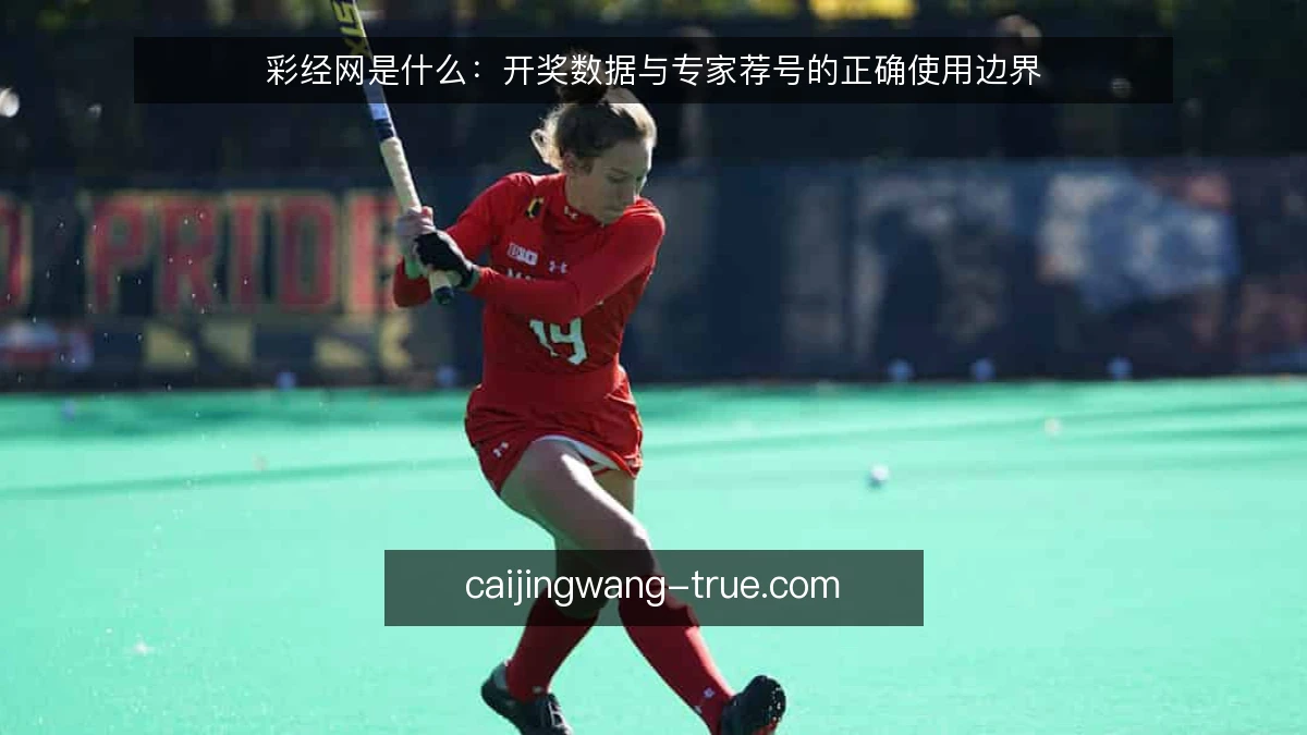 彩经网是什么：开奖数据与专家荐号的正确使用边界