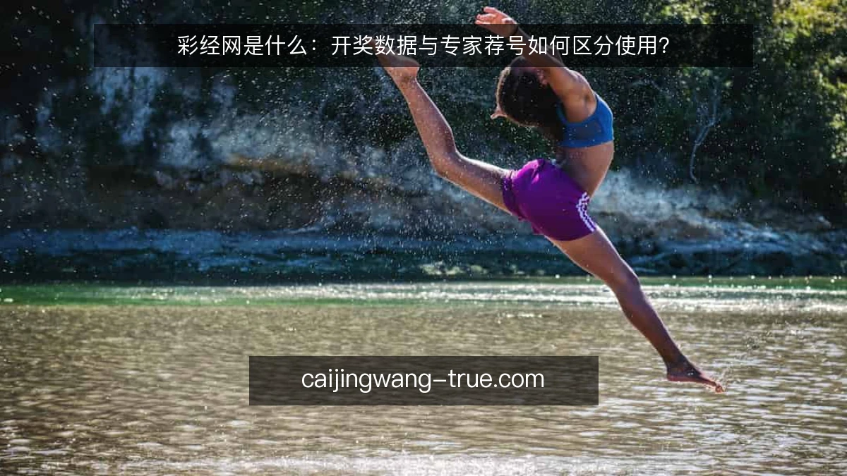 彩经网是什么：开奖数据与专家荐号如何区分使用？