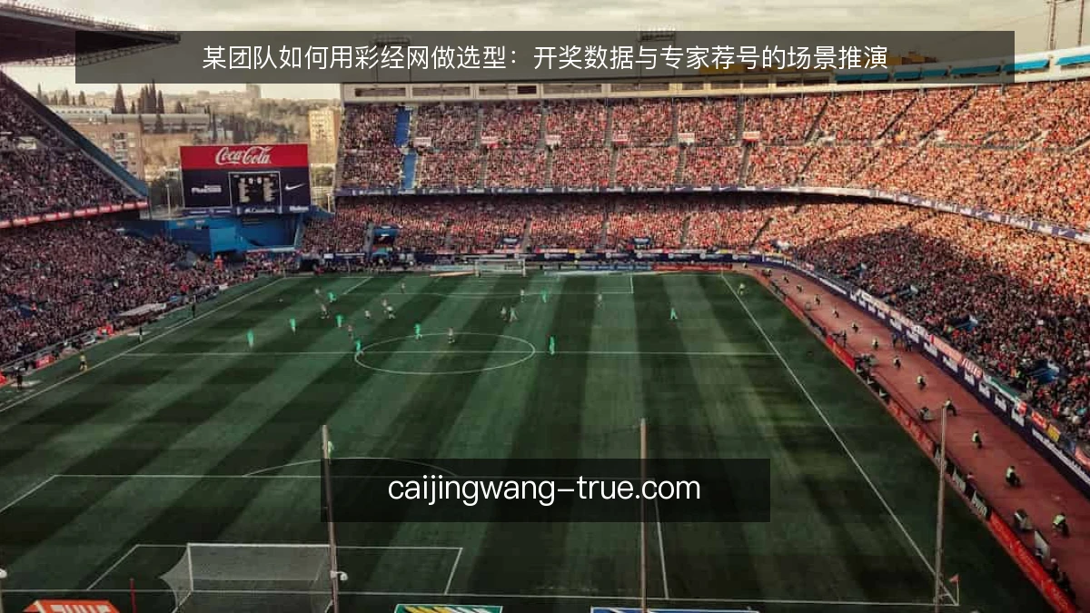 某团队如何用彩经网做选型：开奖数据与专家荐号的场景推演