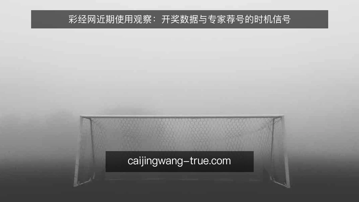 彩经网近期使用观察：开奖数据与专家荐号的时机信号