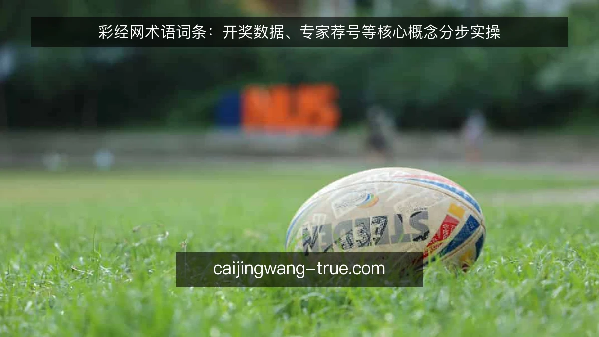 彩经网术语词条：开奖数据、专家荐号等核心概念分步实操