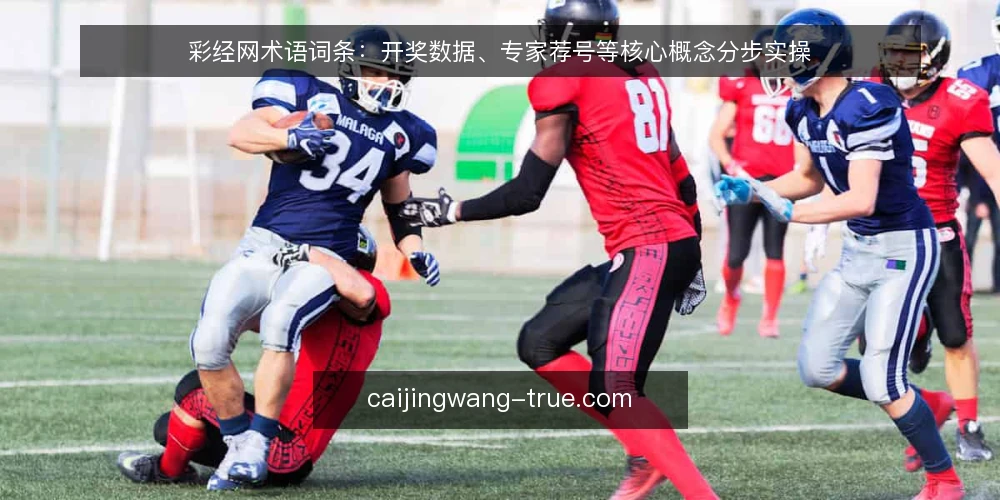 彩经网术语词条：开奖数据、专家荐号等核心概念分步实操 — 准备阶段：先列出你要查的术语清单 配图