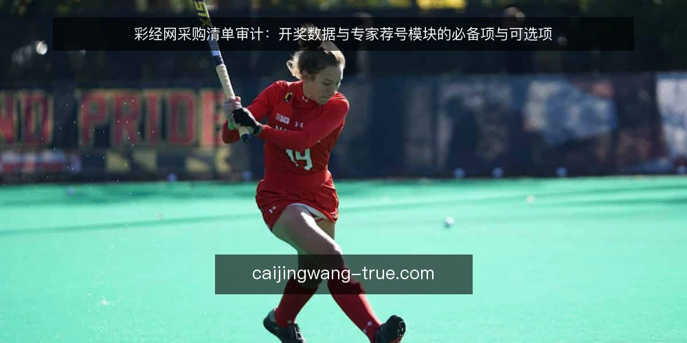 彩经网采购清单审计：开奖数据与专家荐号模块的必备项与可选项 — 为什么现在要做一次清单审计 配图