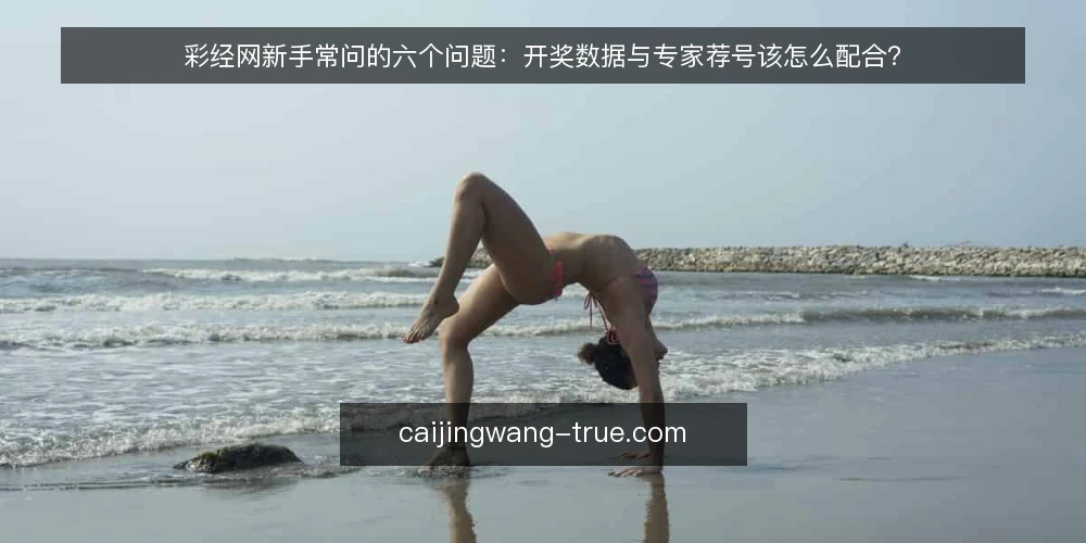 彩经网新手常问的六个问题：开奖数据与专家荐号该怎么配合？ — 先弄清彩经网里这两类信息各是什么 配图