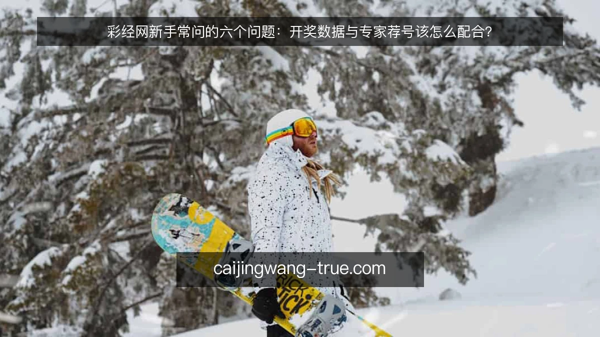 彩经网新手常问的六个问题：开奖数据与专家荐号该怎么配合？