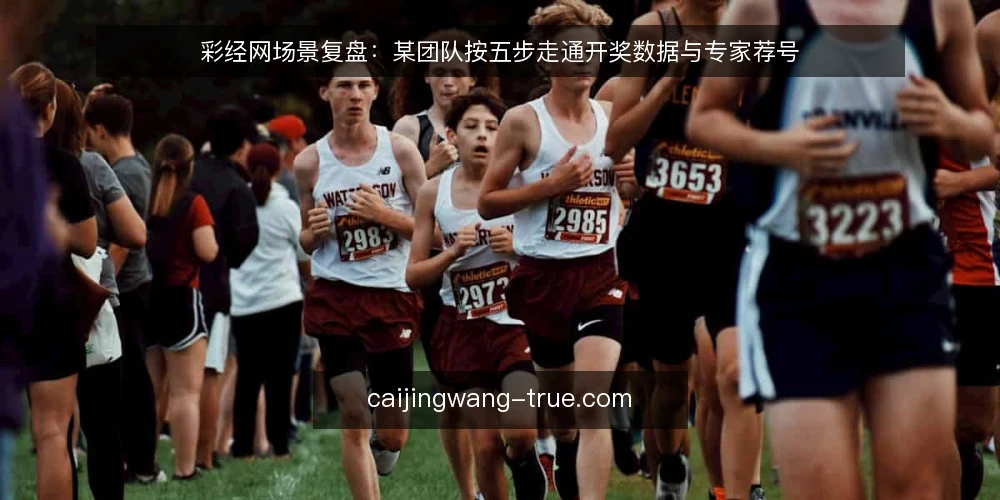 彩经网场景复盘：某团队按五步走通开奖数据与专家荐号 — 先定约束：明确团队要回答的问题 配图