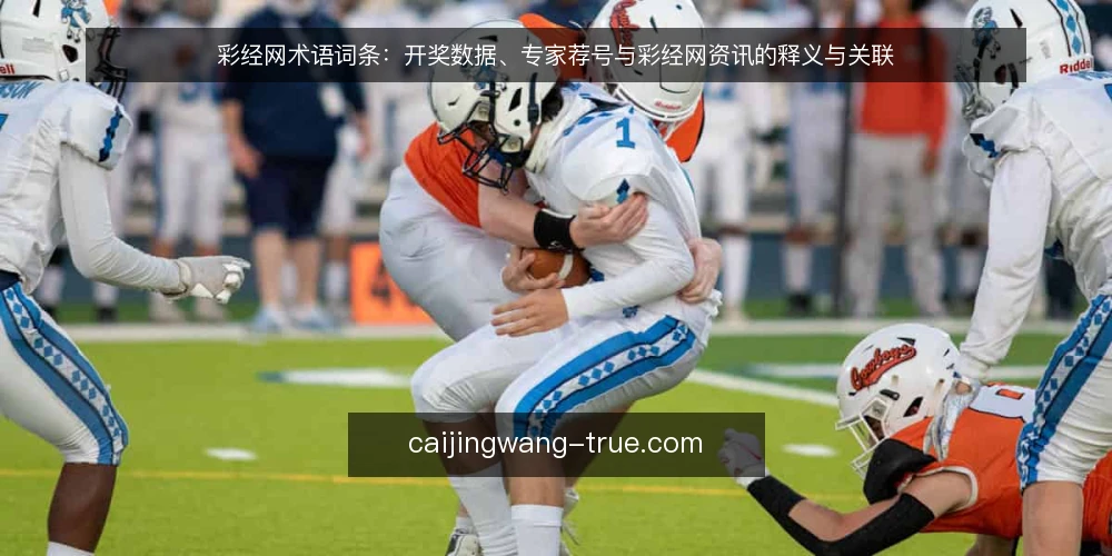 彩经网术语词条:开奖数据、专家荐号与彩经网资讯的释义与关联 — 彩经网相关术语指什么 配图