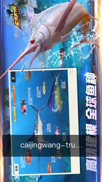 进度看板
