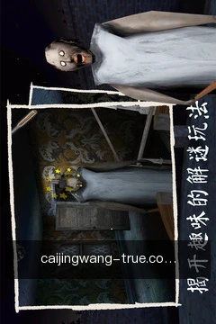 彩经网掌上体验