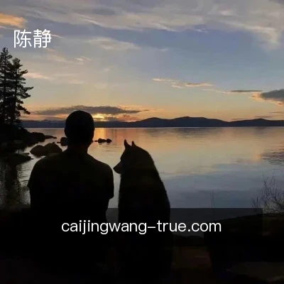 陈静